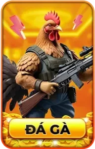 Đá gà KIM88